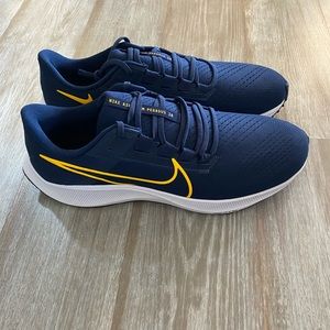 Nike Air Zoom Pegasus 38